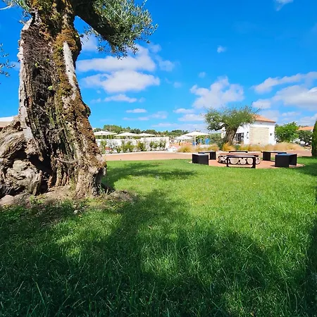 Hébergement de vacances Casa Do Patio, Casaspensadas